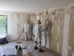 Best Black Mold Removal  in South Wilton, CT